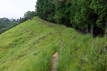 日本の兵庫県神河町の砥峰高原の美しい夏の風景