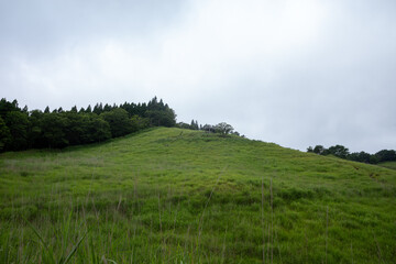 日本の兵庫県神河町の砥峰高原の美しい夏の風景