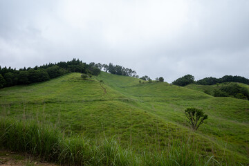 日本の兵庫県神河町の砥峰高原の美しい夏の風景