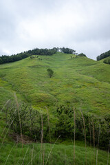 Obraz premium 日本の兵庫県神河町の砥峰高原の美しい夏の風景