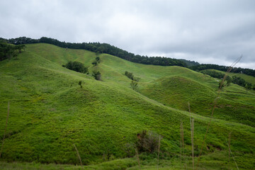 日本の兵庫県神河町の砥峰高原の美しい夏の風景