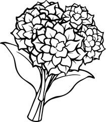 Hydrangea flower bouquet black outline vector and illustration, coloring book page