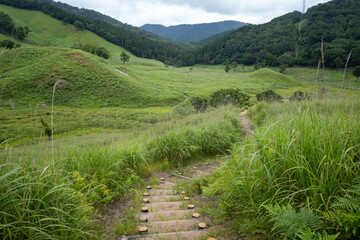 日本の兵庫県神河町の砥峰高原の美しい夏の風景
