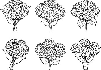 A Set of Hydrangea flower bouquet black outline vector and illustration, coloring book page