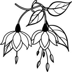 Fuchsia Flower black outline vector and illustration, coloring book page