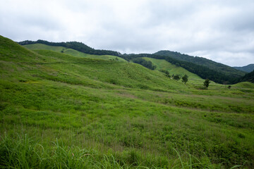 日本の兵庫県神河町の砥峰高原の美しい夏の風景