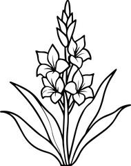 Gladiolus Flower black outline vector and illustration, coloring book page