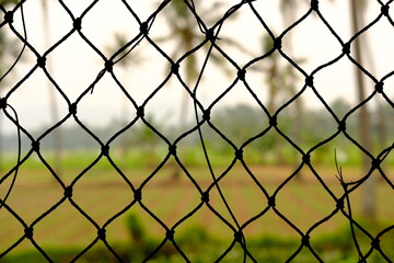 Naklejka premium Chain-Link Fence with Tropical Palm Trees Beyond