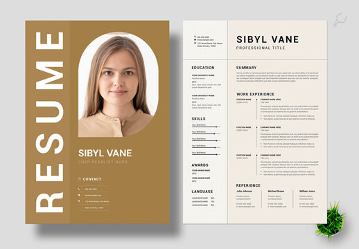 Registered Nurse Resume Template