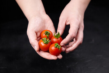 Hands gently holding fresh, ripe red tomatoes with green stems, showcasing vibrant colors and...
