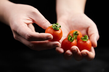 Hands holding fresh, ripe cherry tomatoes with vibrant green stems, showcasing the natural beauty...