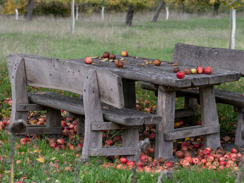 Herbstbilder