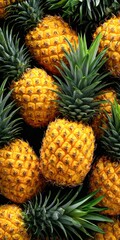 Ripe pineapples with green leaves sitting in a large pile