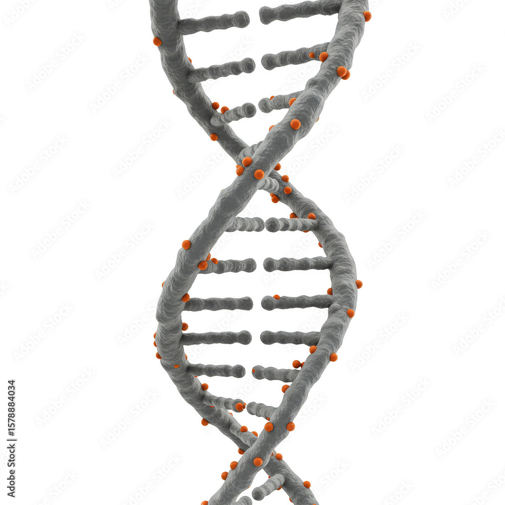 Aufkleber 3d rendering of dna molecule helix isolated on transparent background