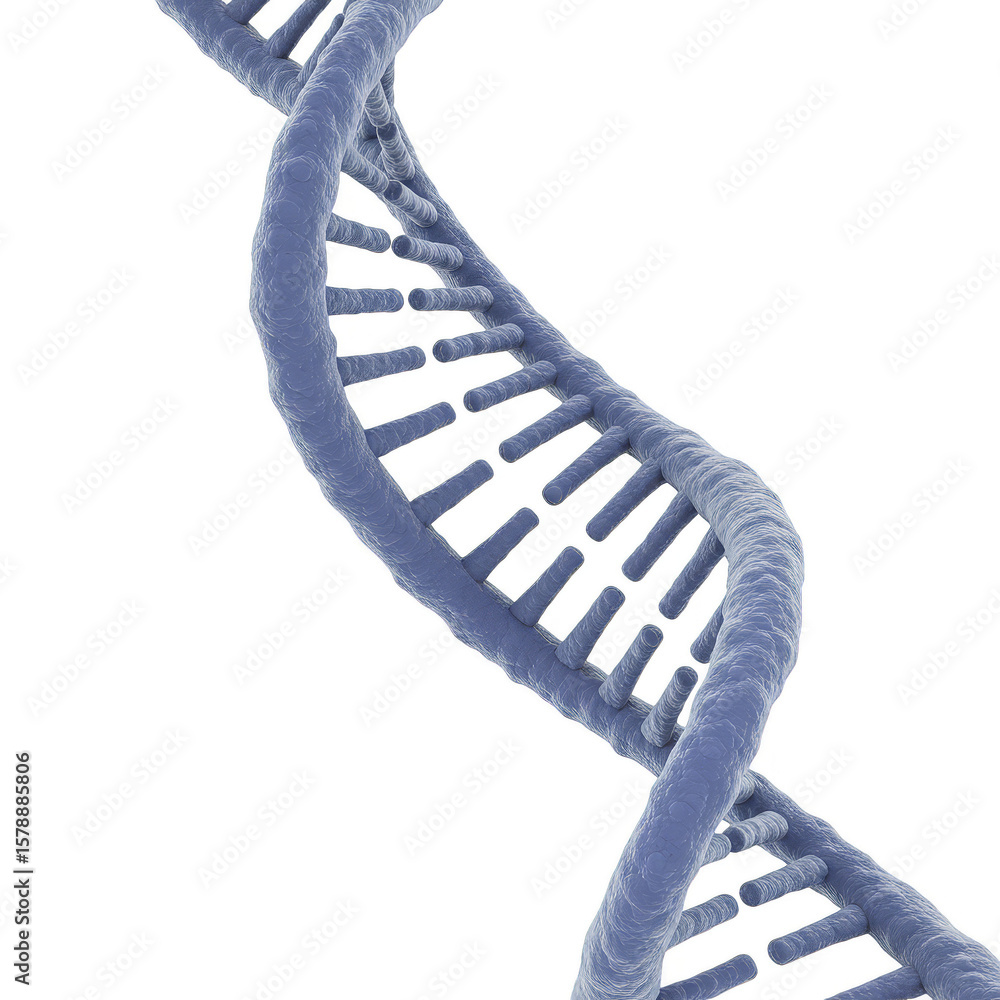 Poster 3d rendering dna molecule helix double strand on transparent background