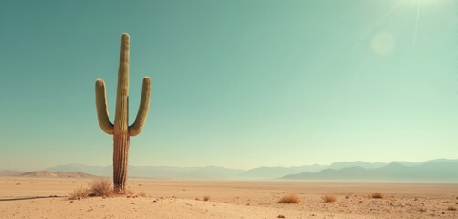 Solitary cactus stands tall in vast desert landscape under clear blue sky, embodying resilience. Summer vacation travel to hot arid southwest USA, Mexico. Copy space for text.