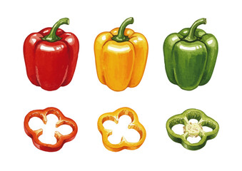 Vector watercolor vegetable / 水彩テイストの野菜イラスト（ピーマン・パプリカ）