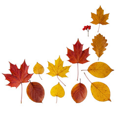 Autumn Leaves Corner Border Fall Season Transparent Background Design