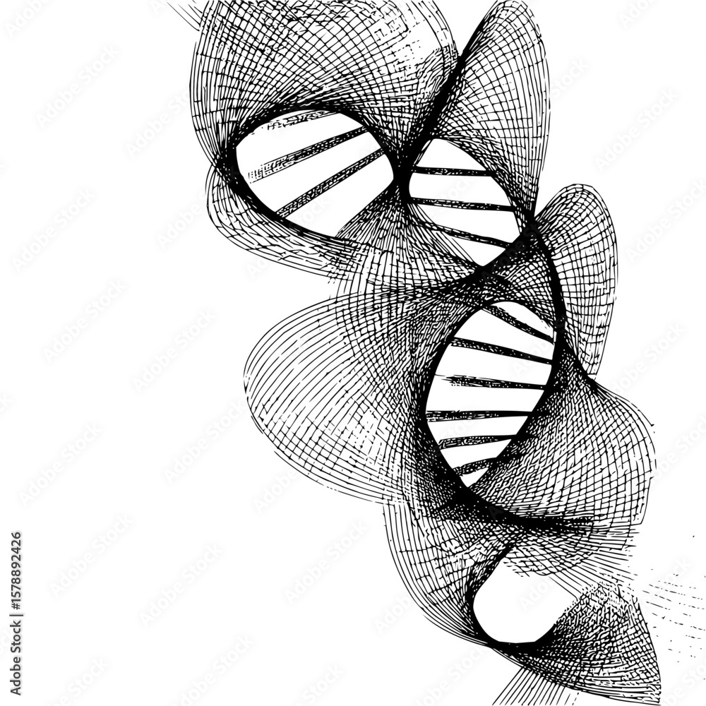 Poster abstract rendering of a helix structure with black lines on a white background design element