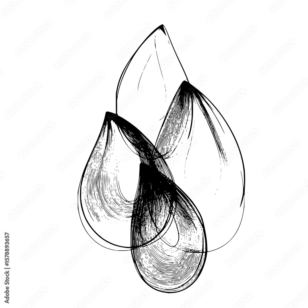 Poster three stylized teardrop shapes with detailed line work in a monochrome artistic rendering displayed 