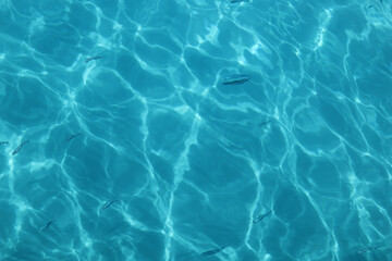 Sea water bright turquoise blue and fish in water