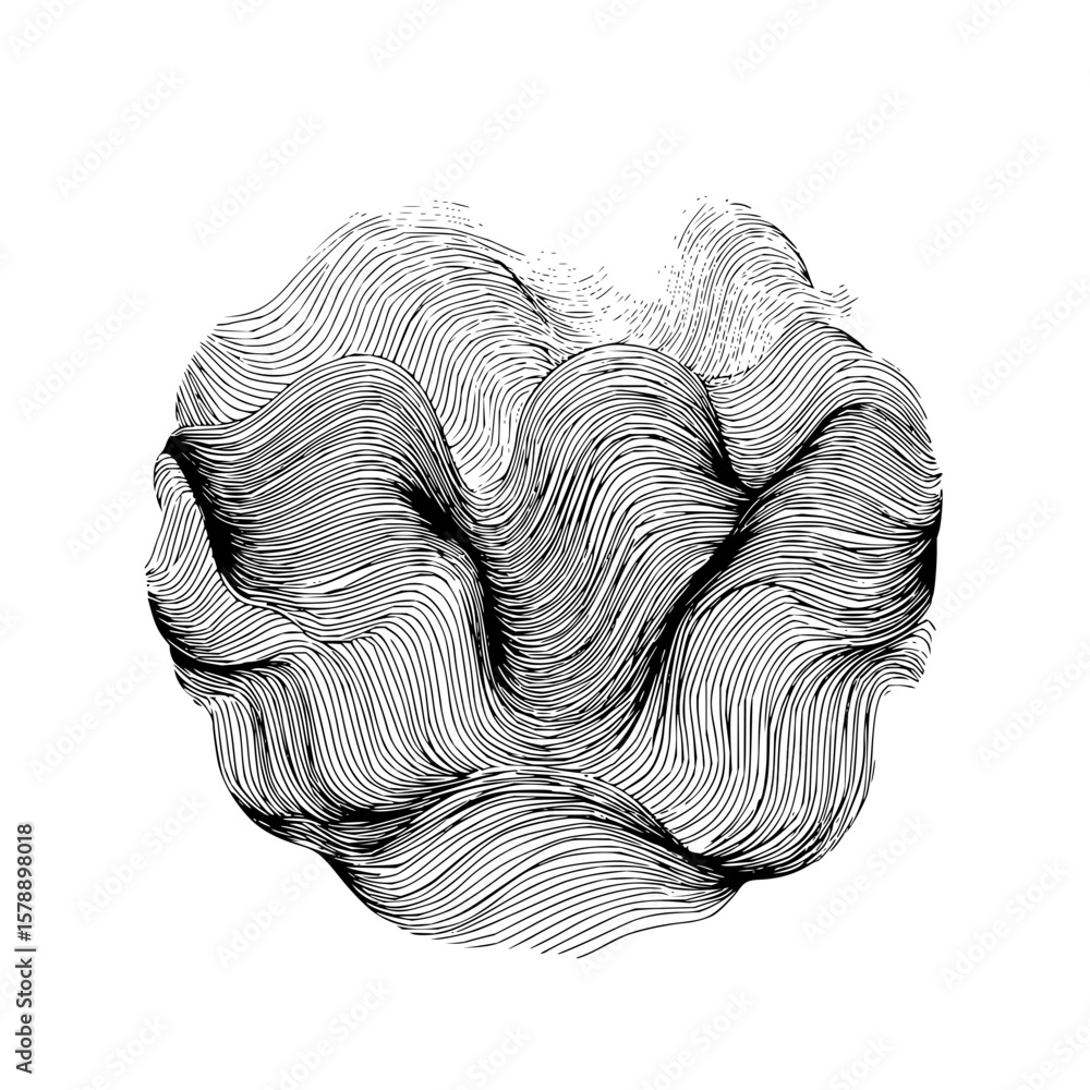 Poster abstract circular design with dense wavy lines creating a textured organic form on white background