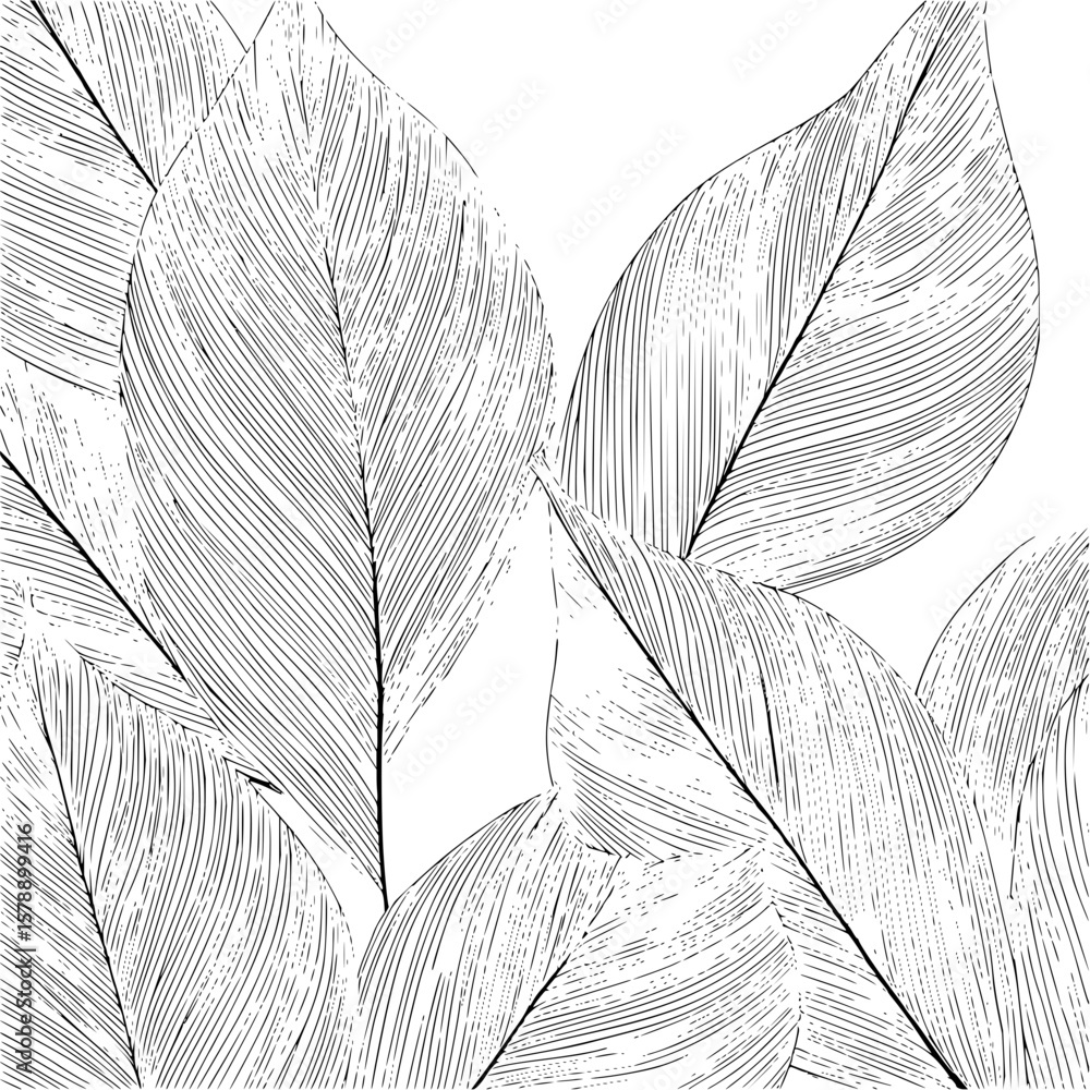 Poster illustration of several large leaves with detailed line work on a white background creating a patter