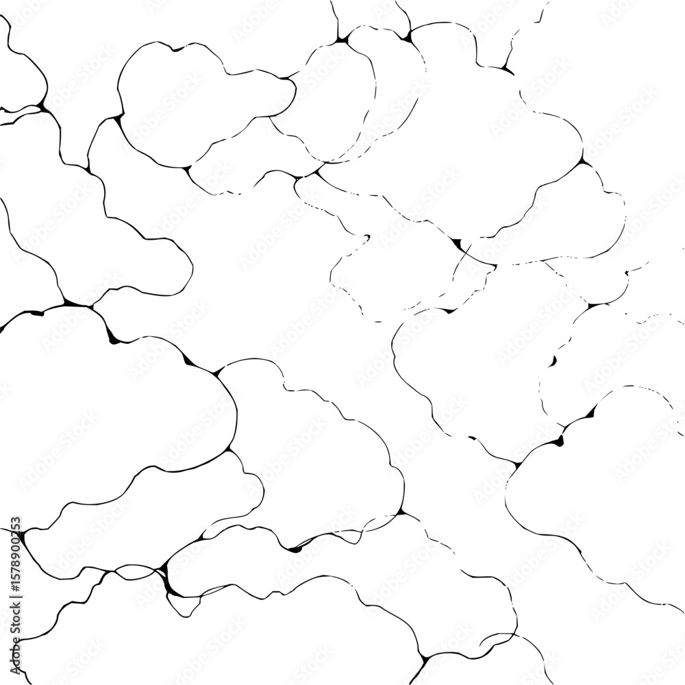 Poster abstract network of interconnected organic shapes with thin black lines on a white background design