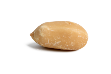 The Roasted peanuts photographed using stacked focus technique for sharpness throughout the image.