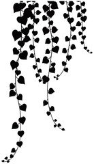 Tropical Leaves and Botanical Bouquets Silhouettes Vector Collection