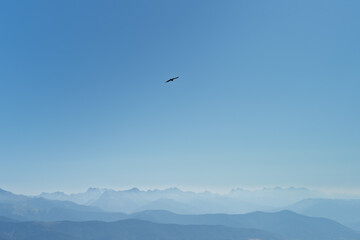 Silueta de ave volando en el cielo con fondo las montañas del Pirineo Aragonés, visto desde Peña Oroel (Jaca, Huesca, España) en un día de verano