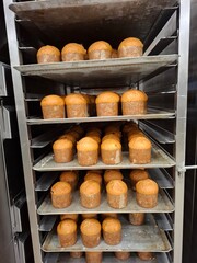 Rack Full of Freshly Baked Panettone Ready for Distribution