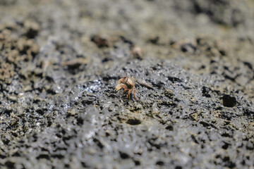 on the sand