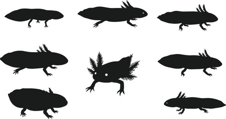 Cute black silhouette axolotl illustrations in various poses, amphibian cartoon set, isolated vector collection on white background