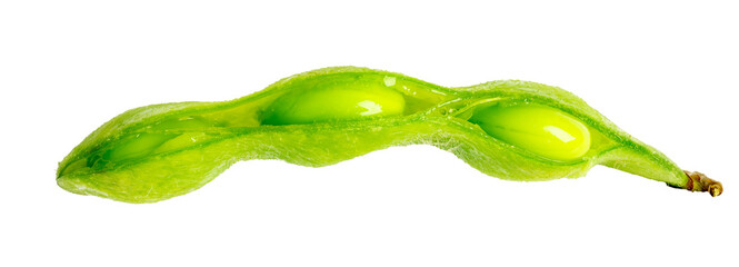 The High-resolution photograph of Japanese peas taken using the stacked focus technique.