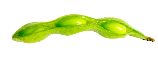 The High-resolution photograph of Japanese peas taken using the stacked focus technique.