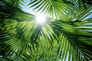 Bright sun shining through vibrant green palm leaves creates beautiful tropical nature background