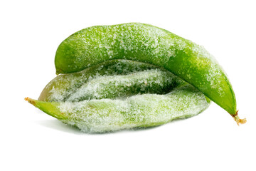 the High-resolution photograph of frozen pea pods taken using the split-focus technique.