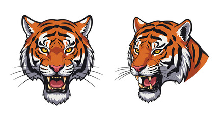 Illustration Of Two Tiger Faces Roaring Transparent Background Isolated