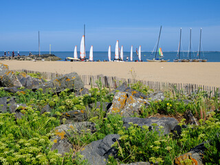 Chatelaillon Plage beach with small sailboats and a dune in the foreground sheltering numerous sea samphire. Châtelaillon-Plage is a commune in the Charente-Maritime department