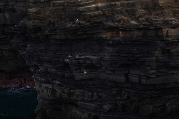 The Serene Coastal Cliffs That Majestically Overlook Calm and Tranquil Waters Below