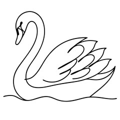 Obraz premium Swan floating in water with simple line art drawing, black and white illustration. Swan floating peacefully along on still surface. Peaceful swan floating and swimming for nature themed art.