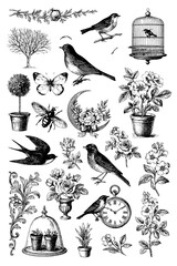 Birds, butterflies, plants and garden elements in vintage engraving style, Transparent Background