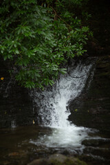 A Serene Waterfall Beautifully Surrounded by Lush Greenery and Peaceful Nature Nearby