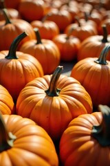 Close-up view of diverse pumpkins, sunlit, showing detail , stock image, yellow
