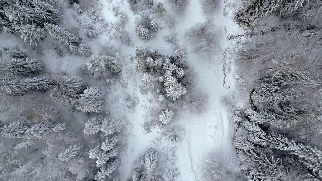 Winter on Lake Predil. View from above.