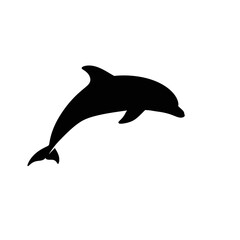 Fototapeta premium Ocean's Grace: A sleek silhouette of a playful dolphin leaps and dances against a vibrant backdrop, capturing the spirit of marine life.