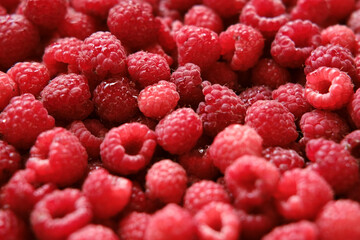 Sweet raspberry background. Full frame of fresh raspberries. Red ripe berry photo wallpaper...
