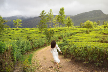 Carefree Woman Running Through Lush Tea Plantation in Sri Lankan Hills