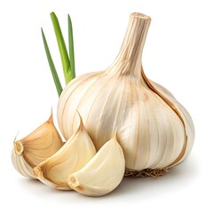 Galangal Root Fresh Aromatic Rhizome Isolated White Background
